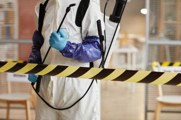Professional Sewage Cleanup technician working in Jasper, FL