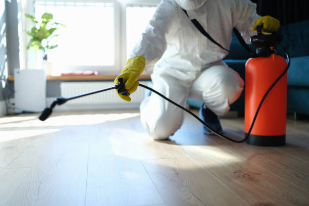 Reliable Sewage Cleanup contractor in Jasper, FL by Trauma Clean Pros